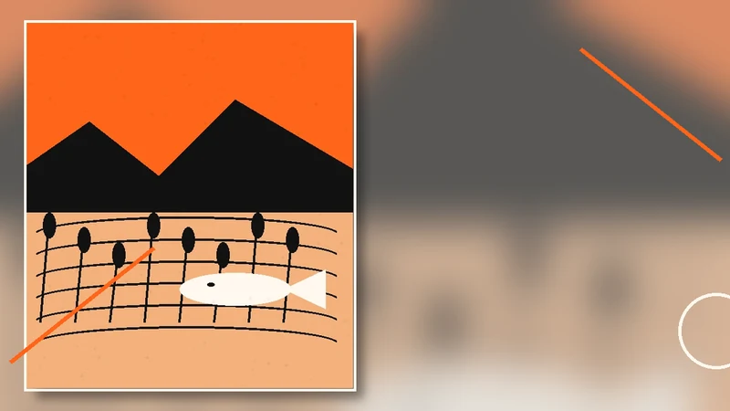 Editorial illustration of Boskop Dam, grassland hills, reeds and a fish beneath the water
