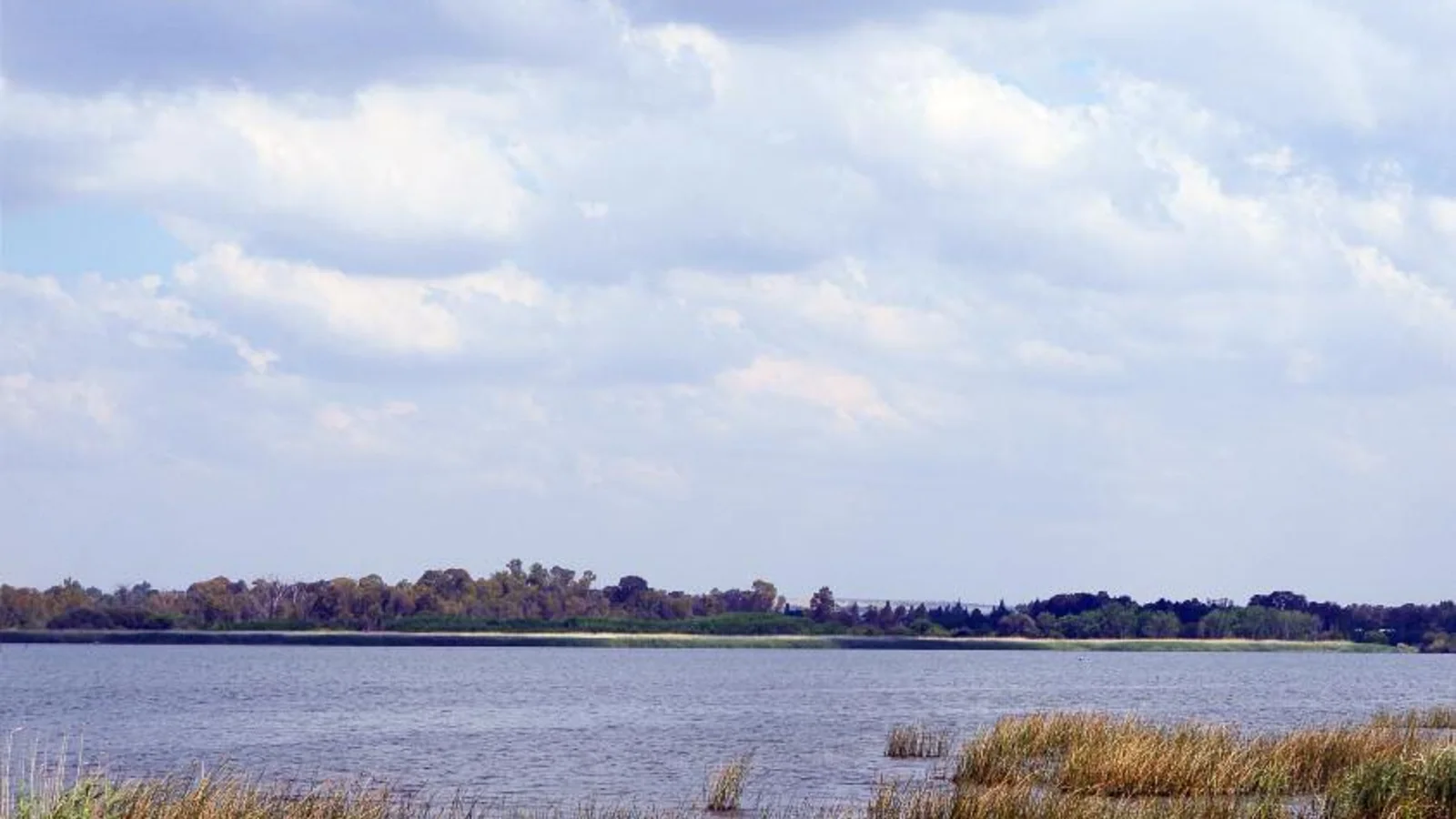 Boskop Dam water and reeds beneath a wide cloudy sky.